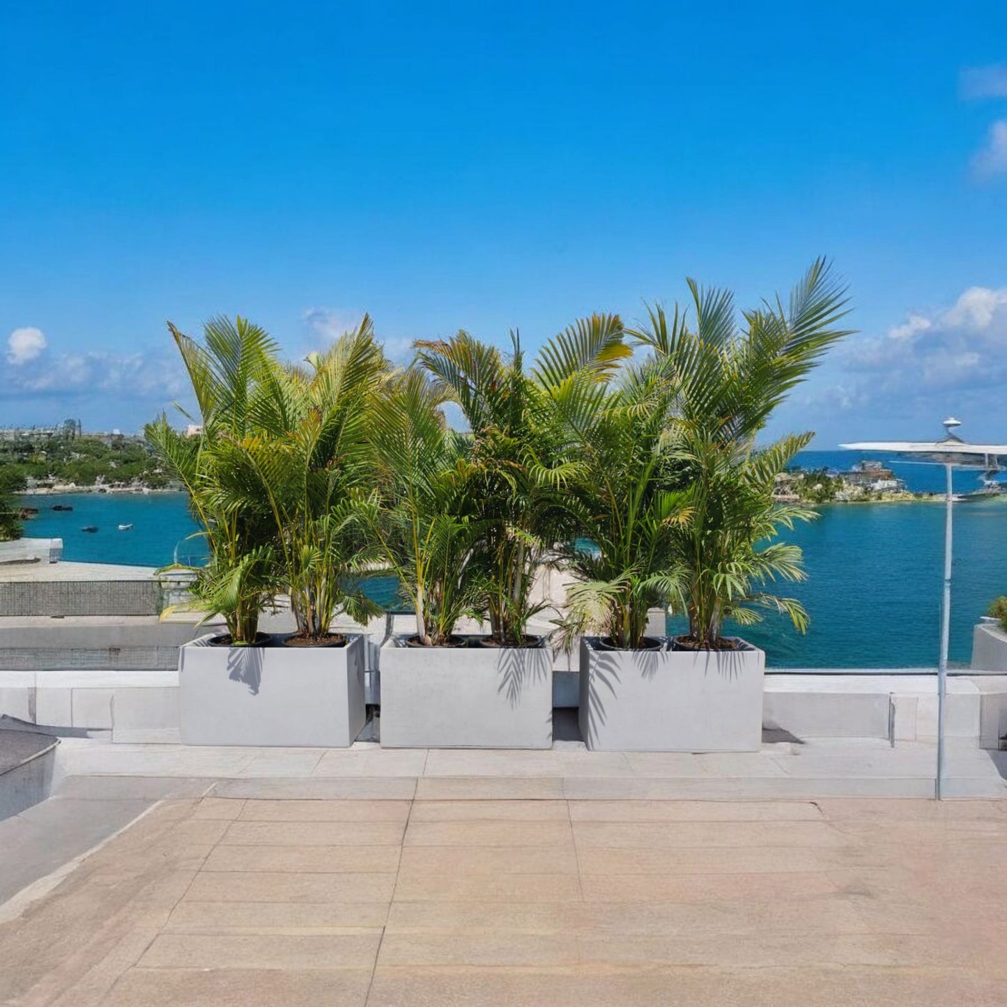 Trio de Jardinières